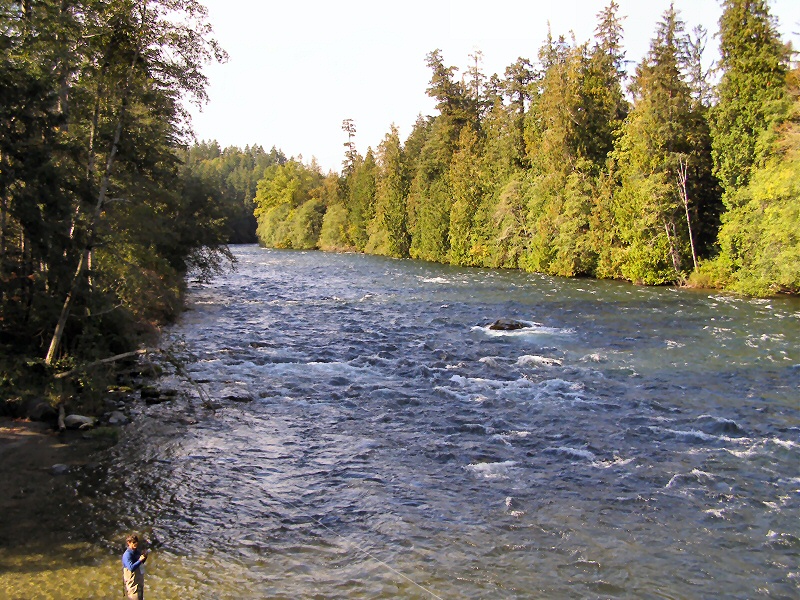 P9250092_800.JPG - 310kb